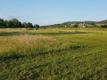 R20200528_200109