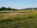 R20200528_200111