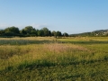R20200528_200127