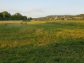 R20200528_201817